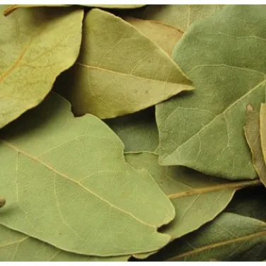 Bio babérlevél, egész 50 g