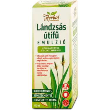Herbal lándzsás útifű szirup echinacea+c-vitamin 150 ml