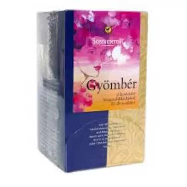 Bio gyömbér tea  20x1g 20 g