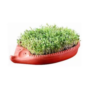 Süni csíráztatótál 1 db